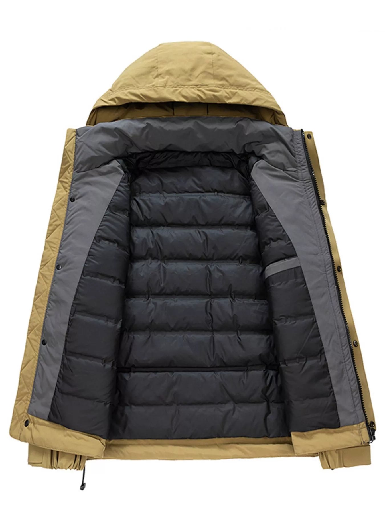 cfbe216f-728b-4ebd-9c26-f89767702eee-Max-Origin